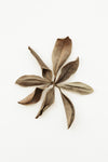 Dried Leaves_3 - Wall Art - By Studio III- Gallery Art Company
