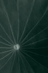 Dark green leaf - Wall Art - By Studio III- Gallery Art Company