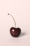 Single cherry - Wall Art - By Studio III- Gallery Art Company