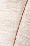 Feather_2 - Wall Art - By Studio III- Gallery Art Company