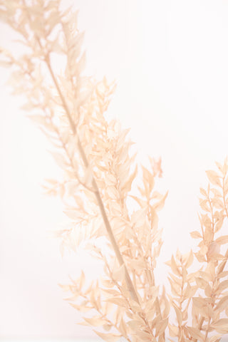 Dried Straws_2 - Wall Art - By Studio III- Gallery Art Company