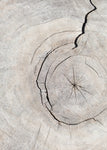 Pattern_wood_2 - Wall Art - By Studio III- Gallery Art Company