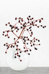 Vase_berries - Wall Art - By Studio III- Gallery Art Company