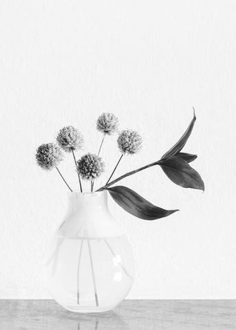 Vase_ chives flower - Wall Art - By Studio III- Gallery Art Company