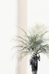 Palm tree - Wall Art - By Studio III- Gallery Art Company