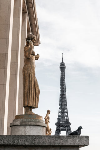 Eiffel Tower Paris - Wall Art - By Studio III- Gallery Art Company