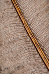 Feather_007 - Wall Art - By Studio III- Gallery Art Company