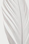 Feather_006 - Wall Art - By Studio III- Gallery Art Company