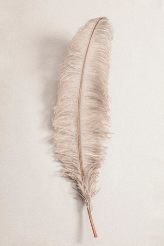 Feather_002 - Wall Art - By Studio III- Gallery Art Company