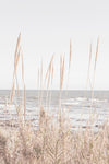 Beach_Vass_001 - Wall Art - By Studio III- Gallery Art Company