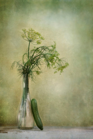 Dill and Cucumber - Wall Art - By Priska Wettstein- Gallery Art Company