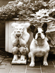 Friends - Wall Art - By Jim Dratfield- Gallery Art Company