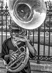 They say it's the Sousaphone players you have to look out for... - Wall Art - By Kirk Cypel- Gallery Art Company