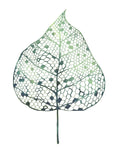 Veiled Leaf I - Wall Art - By Grace Popp- Gallery Art Company