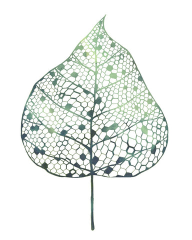 Veiled Leaf I - Wall Art - By Grace Popp- Gallery Art Company