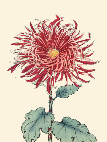 Chrysanthemum Woodblock I - Wall Art - By Unknown- Gallery Art Company