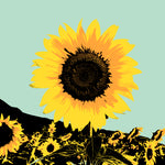 Pop Art Sunflower I - Wall Art - By Jacob Green- Gallery Art Company