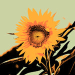 Pop Art Sunflower II - Wall Art - By Jacob Green- Gallery Art Company