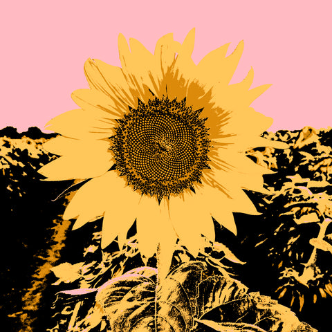 Pop Art Sunflower III - Wall Art - By Jacob Green- Gallery Art Company