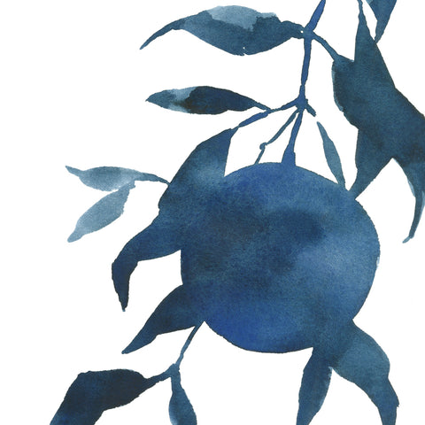 Indigo Oranges I - Wall Art - By Emma Caroline- Gallery Art Company