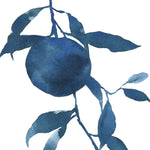 Indigo Oranges II - Wall Art - By Emma Caroline- Gallery Art Company