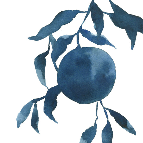 Indigo Oranges IV - Wall Art - By Emma Caroline- Gallery Art Company