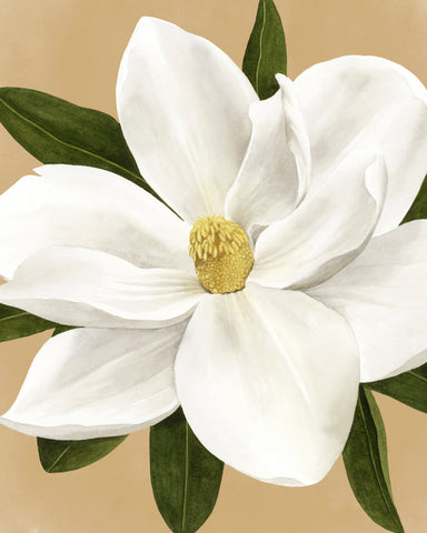 Magnolia on Gold I - Wall Art - By Grace Popp- Gallery Art Company