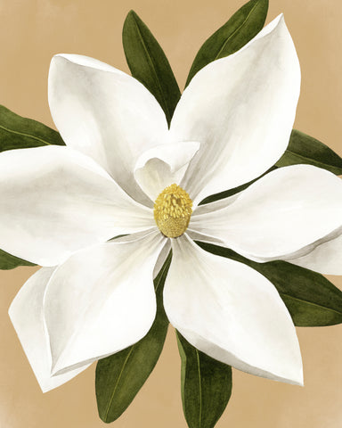 Magnolia on Gold II - Wall Art - By Grace Popp- Gallery Art Company