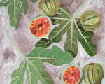 Decorative Fig II - Wall Art - By Melissa Wang- Gallery Art Company