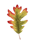 Fall Leaf Study II - Wall Art - By Grace Popp- Gallery Art Company