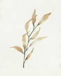 Soft Autumn Branch I - Wall Art - By Emma Caroline- Gallery Art Company