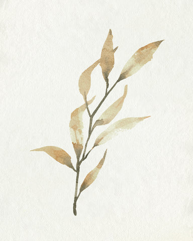 Soft Autumn Branch I - Wall Art - By Emma Caroline- Gallery Art Company