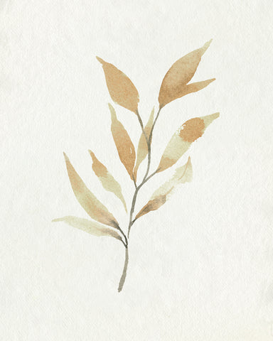 Soft Autumn Branch II - Wall Art - By Emma Caroline- Gallery Art Company