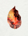 Watercolor Autumn Leaf I - Wall Art - By Jennifer Paxton Parker- Gallery Art Company