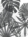 Palm Shadows I - Wall Art - By June Erica Vess- Gallery Art Company