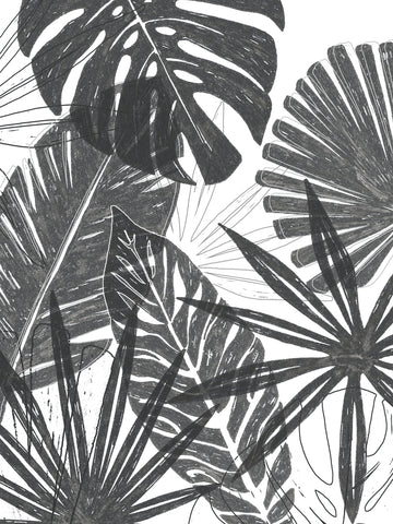 Palm Shadows I - Wall Art - By June Erica Vess- Gallery Art Company