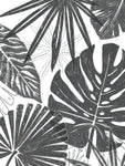 Palm Shadows II - Wall Art - By June Erica Vess- Gallery Art Company