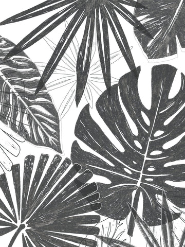 Palm Shadows II - Wall Art - By June Erica Vess- Gallery Art Company