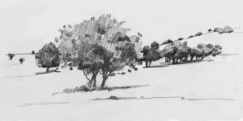 Treeline Sketch I - Wall Art - By Emma Caroline- Gallery Art Company