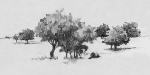 Treeline Sketch II - Wall Art - By Emma Caroline- Gallery Art Company