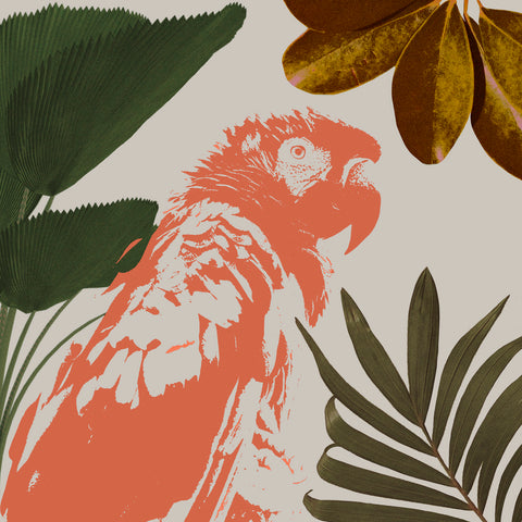 Graphic Tropical Bird I - Wall Art - By Annie Warren- Gallery Art Company