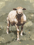 Spring Sheep II - Wall Art - By Emma Caroline- Gallery Art Company