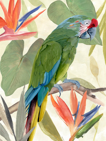 Tropical Parrot Composition I - Wall Art - By Annie Warren- Gallery Art Company