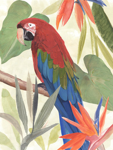 Tropical Parrot Composition III - Wall Art - By Annie Warren- Gallery Art Company