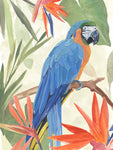 Tropical Parrot Composition IV - Wall Art - By Annie Warren- Gallery Art Company