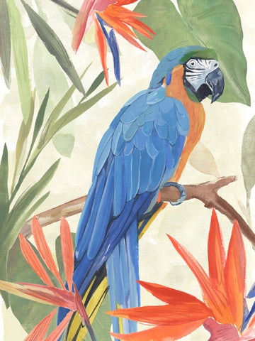 Tropical Parrot Composition IV - Wall Art - By Annie Warren- Gallery Art Company