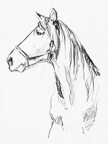 Bridle Portraits I - Wall Art - By Jennifer Paxton Parker- Gallery Art Company