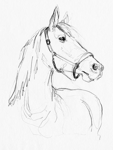 Bridle Portraits II - Wall Art - By Jennifer Paxton Parker- Gallery Art Company