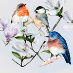 Four Little Birds I - Wall Art - By Jennifer Paxton Parker- Gallery Art Company