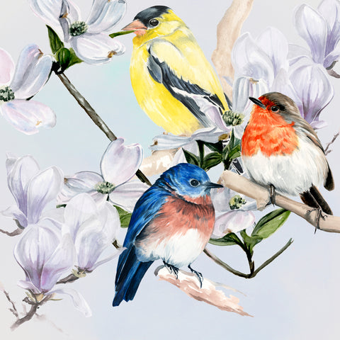 Four Little Birds II - Wall Art - By Jennifer Paxton Parker- Gallery Art Company
